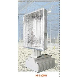 HID 600W Greenhouse|Opção de menor custo